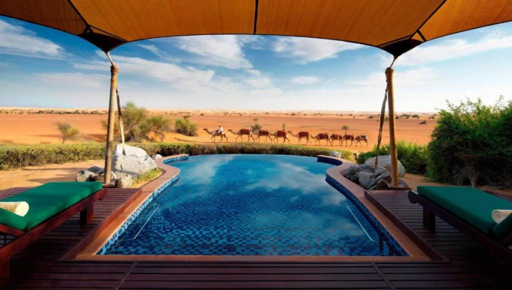 a pool with camels in the desert