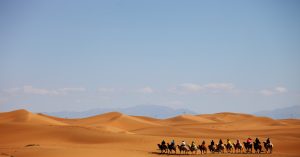 desert safari in dubai