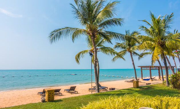 blue sea water, brown sand, palm trees and thick grass at the corner of the beach