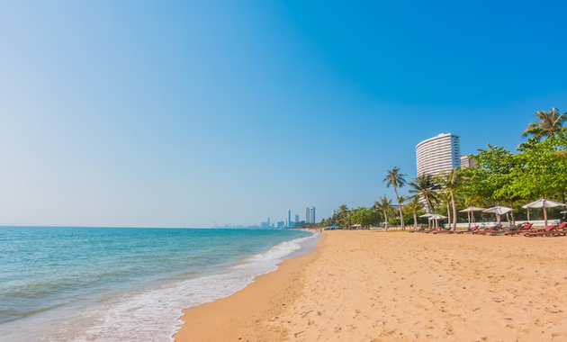 blue sea, brown snd and green treas at a beach in Dubai 