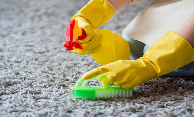 a professional carpet cleaner is cleaning carpet with a brush and a cleaning solution