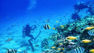 scuba diving in dubai