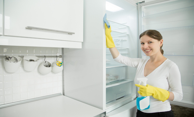 a girl is cleaning refrigerator from inside with gloves and cleaning solution 