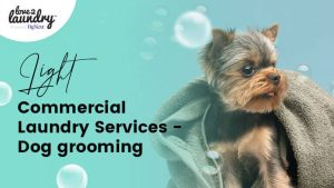 laundry-solution-for-pet-groomers