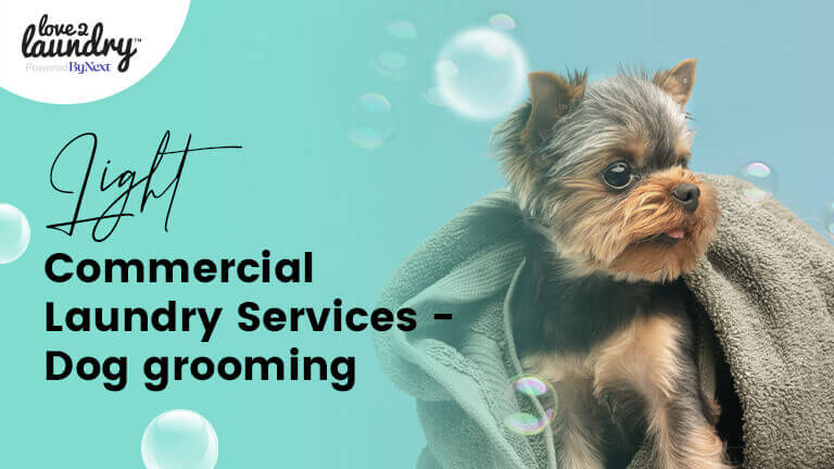 laundry-solution-for-pet-groomers